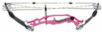 Hoyt Selena GTX Target - click for more information